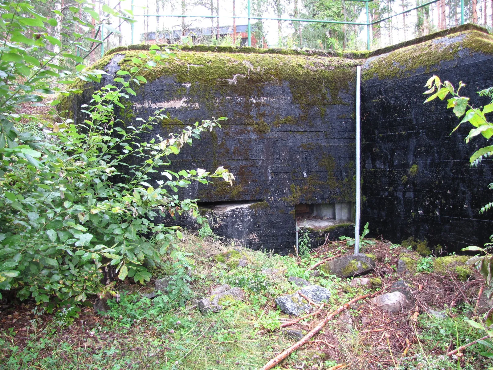 Salpalinjan graniittiesteet metsässä